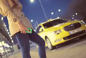 手机站 SEO，优化策略与技巧，好看手机站