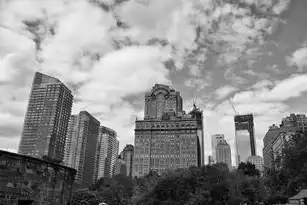 上海数据恢复中心排行榜，专业与效率并存的选择指南，上海 数据恢复公司哪家好