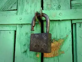 Redis 分布式锁实现原理与锁续约机制详解，redisson分布式锁续期