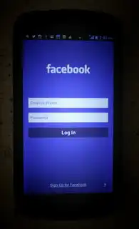垂直网站开源码，构建个性化在线平台的关键，垂直网站 开源码是什么