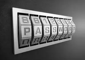 ASP.NET虚拟服务器，构建高效、灵活的网络环境，asp.net server