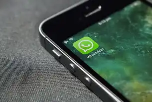 社区运营APP，打造和谐共生的数字家园，社区运营是干嘛的