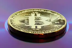 揭秘SEO按天付费模式，高效提升网站排名与流量的秘密武器！seo按天扣费