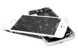 灾难数据恢复，探索技术、策略与案例分析，灾难数据恢复app