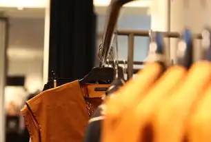 衣服消费趋势分析，大数据背后的时尚风向标，衣服消费情况大数据能查到吗