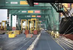 2023年1-8月全国港口集装箱吞吐量，数据背后的经济脉动，2020中国港口集装箱货运吞吐量