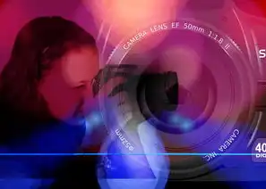 探索未知，网站快照中的数字世界，网站快照查询