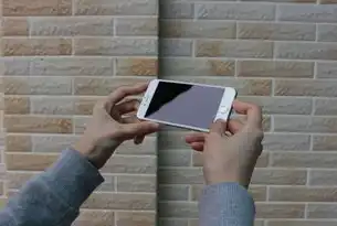 iPhone数据泄露，隐私安全与数字时代的隐忧，苹果手机暴露数据
