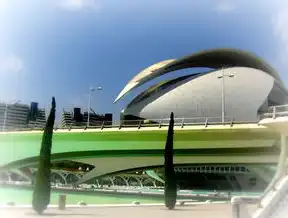 西宁本地SEO优化，精准定位城市流量，助力企业高效获客，西宁网站优化