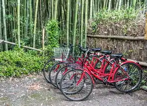 旅游企业网站开发与设计，打造沉浸式旅行体验，旅游企业网站源码有哪些