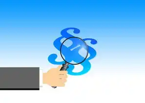 SEO查询指令，揭秘如何优化网站排名，seo指令和用法
