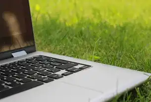 app软件租服务器价格，深入解析与全面指南，app服务器租用价格