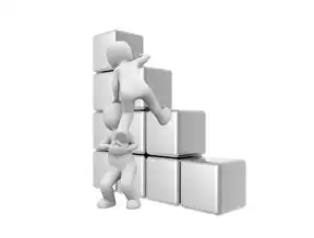数据挖掘实用案例分析，提升企业决策与运营效率，数据挖掘实用案例分析 赵卫东 第二章