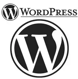 WordPress主题SEO，优化您的网站以获得更好的搜索引擎排名，WordPress主题模板