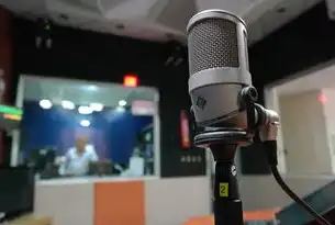 直播运营后端服务商，助力企业实现高效直播运营，直播后端是什么意思