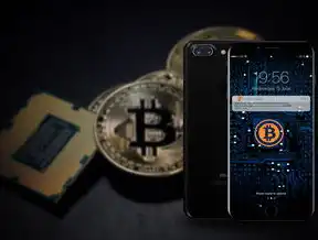 云服务器公网IP费用解析，性价比与选择的考量，云服务器的公网ip和内网ip