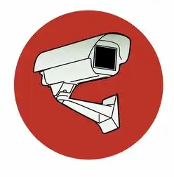 如何在数字时代保护个人隐私权，保护个人隐私的方法和技巧