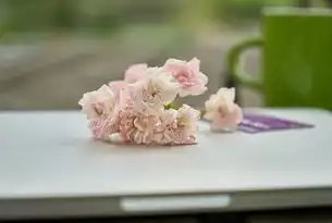鲜花网站源码，打造个性化在线花卉购物体验，鲜花网站代码