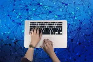 标签、meta描述及URL结构。做网站的软件有哪些
