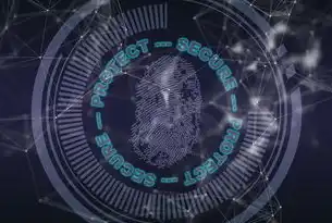 隐私保护与数据安全，守护数字时代的双重防线，隐私保护与数据安全的区别是什么