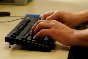 人工录入数据弊端的剖析与优化策略，人工录入数据的弊端是什么