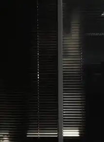 阳光服务器的魅力与价值，揭秘其独特优势，阳光服务app下载