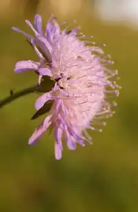 生态循环型农业体系构建，资源集约化与植物群落可持续管理，资源利用与植物保护研究生就业前景