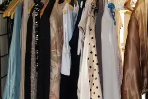 智能生态与可持续美学，新消费时代服装网站的革新路径探索，国外服装网站