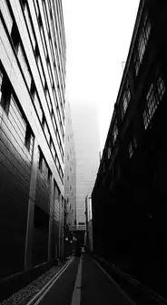 城市公共设施与基础设施协同发展路径研究，城市公共基础设施包括哪些