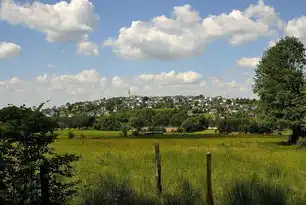 平地社区平地村，千年古村焕新生的三重维度实践，平地村属于哪个镇