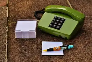电信服务器出租全解析，从定义到行业趋势的深度解读，什么叫电信服务器出租服务