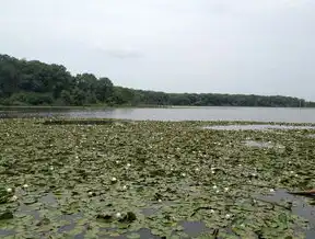 资源池化，数字化时代的资源管理范式革新，资源池的作用和意义是什么