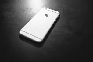 IIS服务器安全防护体系构建，用户认证机制深度解析与实战指南，iis7.5提供的服务
