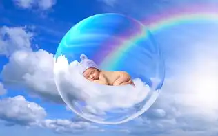 混合云专用云，构建企业数字化转型的核心引擎，混合云使用场景