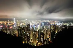 数字化转型浪潮下的智慧城市演进路径，技术赋能与治理创新的双向奔赴，智慧城市发展现状及前景研究报告