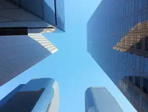 美国高防服务器司，构建数字时代企业安全基座的战略选择与技术创新解析，美国高防服务器多少钱一个月