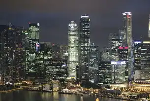 赋能城市治理新范式，上海市大数据中心网站建设与数字化转型实践，上海市大数据中心网站官网
