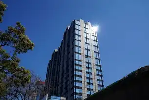 杭州SEO行业深度解析，数字化浪潮下本地企业的搜索突围之道，seo公司 杭州