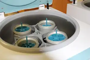 容器技术全维度解析，从技术原理到行业应用的发展图谱，容器技术有哪几种 用户态