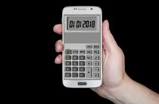 F5负载均衡器价格全解析，成本构成、选购指南与行业趋势，f5负载均衡器 价格