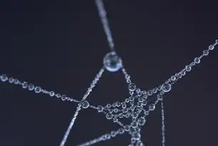 HTML5特效网站源码解析，动态视觉设计与交互体验的深度实践，html5特效代码大全