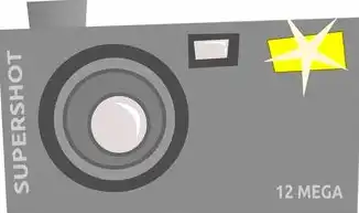 基于网站快照的流量转化率优化策略，用户行为分析与SEO技术实践，网站快照生成