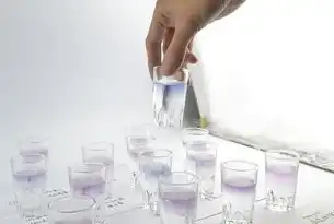 云计算虚拟化技术演进与关键架构研究，云计算虚拟化技术与应用论文