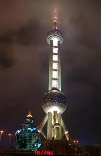 魔都密码，解码上海城市发展的多维交响曲，上海关键词推广