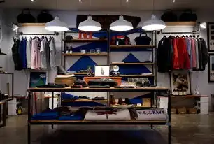 智能服饰生态重构，服装行业数字化转型下的全渠道运营与消费者价值重塑，国外服装网站