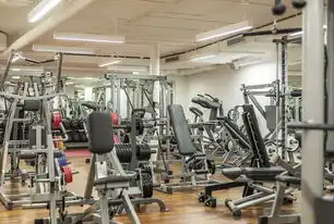健身器材网站源码开发指南，从零构建专业级健康平台，健身器材网站源码大全
