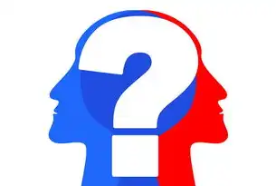 图片过多如何影响SEO排名？深度解析视觉内容与搜索引擎优化的平衡之道，图片太多了吧