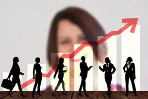 SEO进阶指南，从基础优化到数据驱动的专业实践策略，seo行业如何