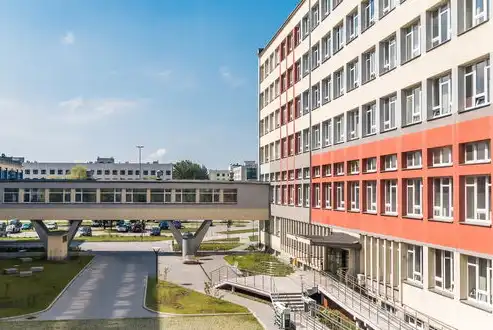 多维赋能，构建新时代社区组织体系的三维进阶路径，加强社区组织体系建设的措施