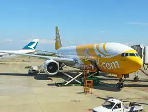 全球航空枢纽竞争力图谱，2023年机场年吞吐量排名深度解析与未来趋势展望，年吞吐量最大的机场